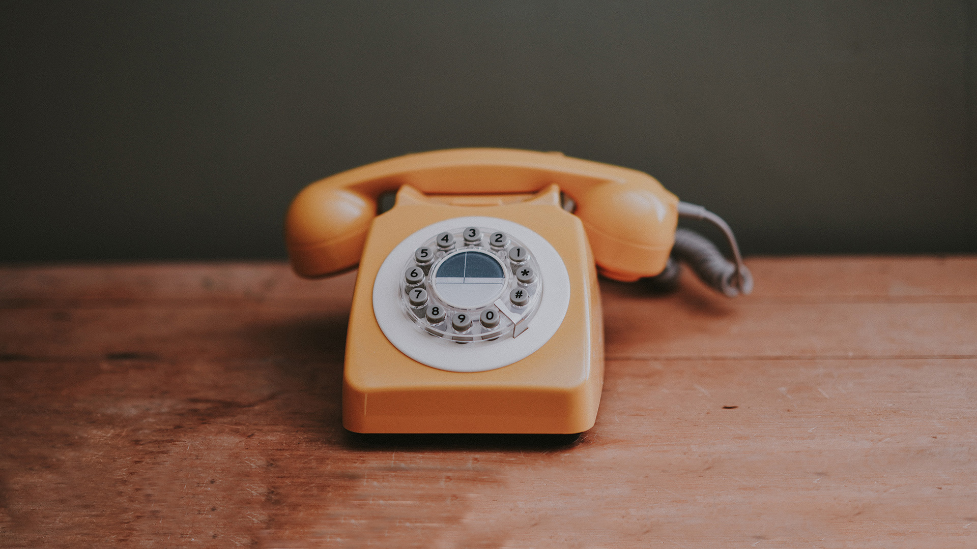 ELVIA Contact
